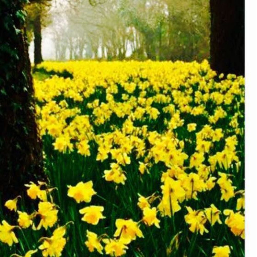 Meet your Posher, Judith